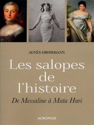 cover image of Les salopes de l'histoire